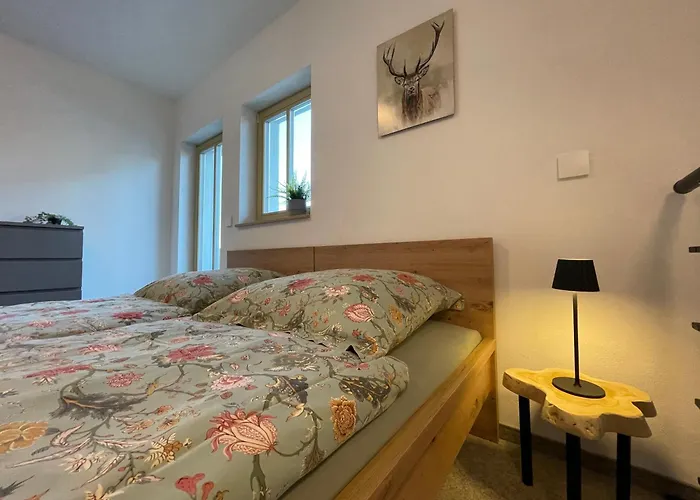 Im Filmtheater Apart Otel Oberhof (Thuringia)